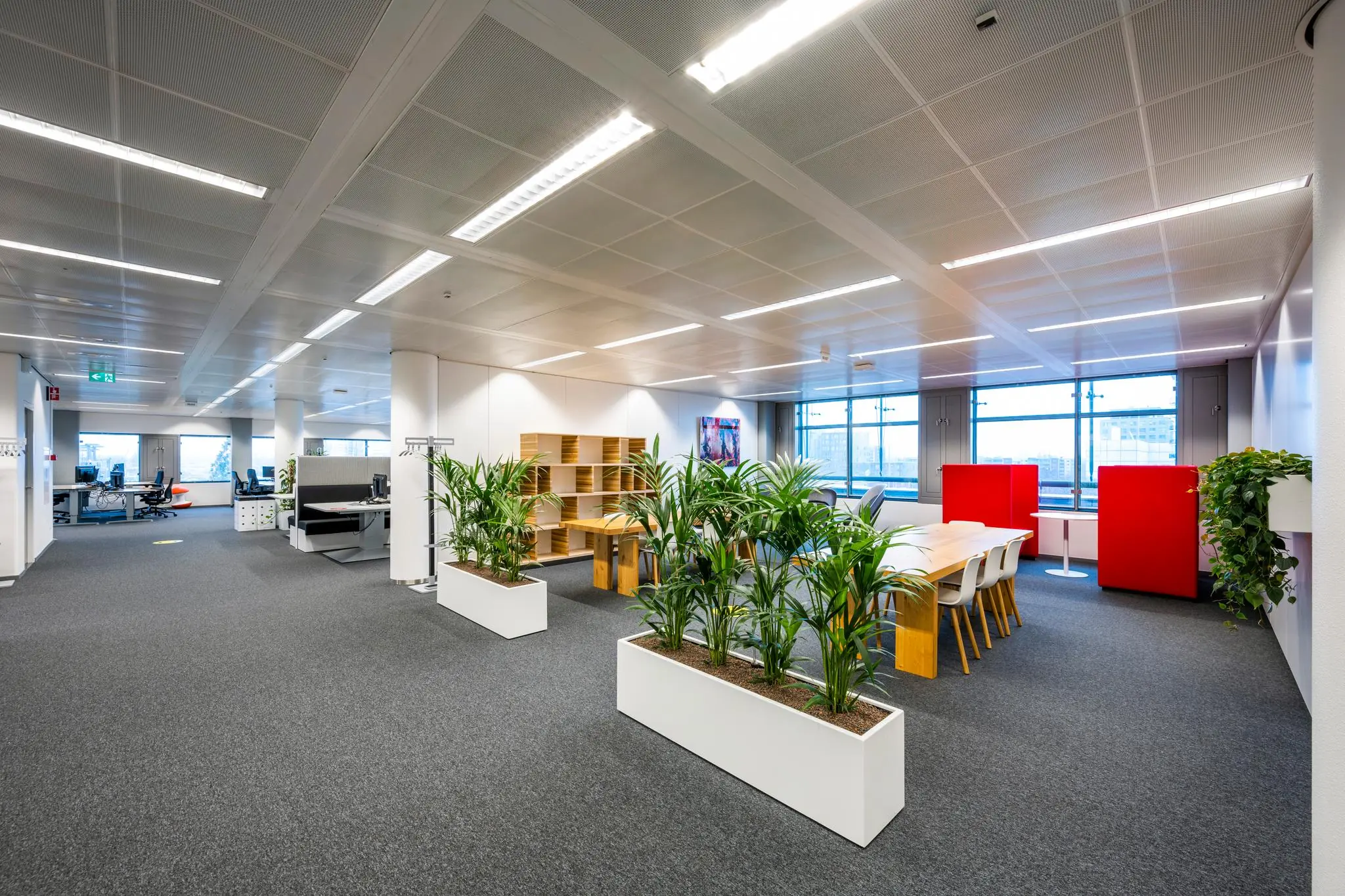 Moderne, open kantoorruimte aan de Burgemeester Rijnderslaan met werkplekken, vergadertafel en veel groen.